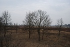 Vörösiszap után